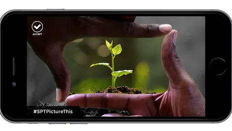 O aplicaţie pentru o lume mai bună, Picture This