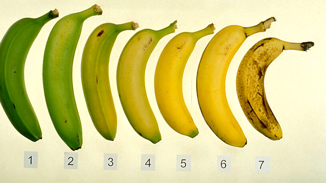 banana - stadii de coacere