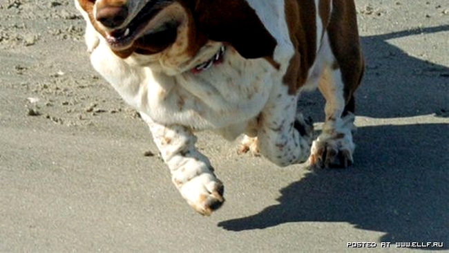 Primul venit va fi primul servit