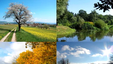 De unde provin numele lunilor anului