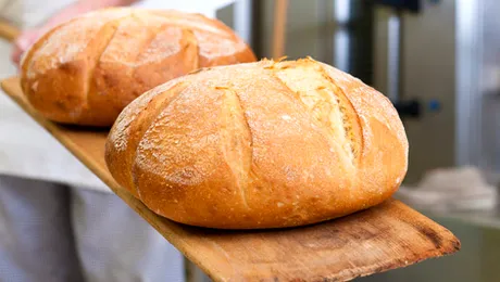 Când a fost făcută prima pâine