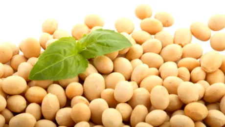 Amway te ajută să combaţi stresul cu NUTRILITE Lecitină E