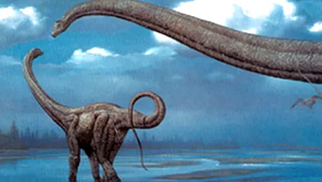 Urme de dinozauri in Peninsula Arabica!