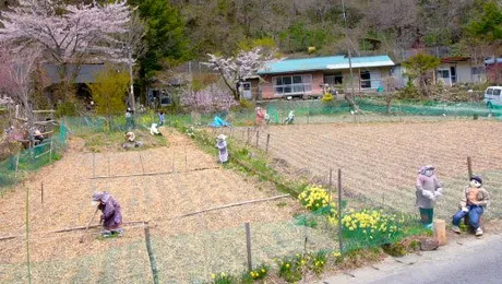 Orașul populat doar de păpuși (Poze)