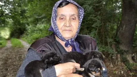 Catelusii aruncati intr-un rau din Bosnia au fost salvati (Poze)