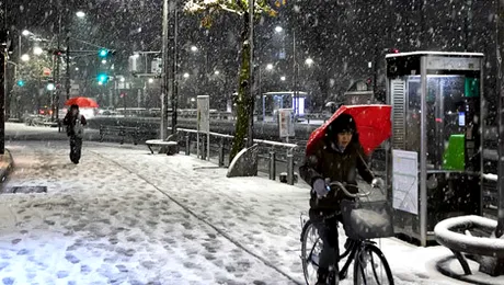 Cod galben de ninsori și vânt valabil pentru 6 județe din țară