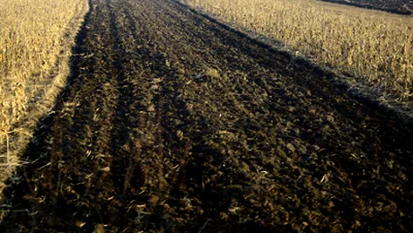 Un nou sistem de irigatii in agricultura, dupa 50 de ani