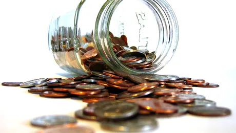 Alocatia pentru copii, o „specie” pe cale de disparitie!