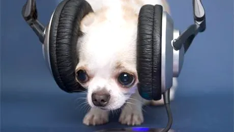 ProFM te distreaza in week-end, oriunde ai fi!