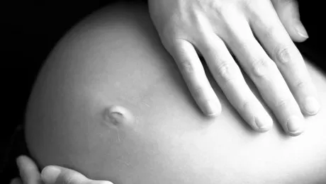 La cine vine barza în 2014 la Hollywood?