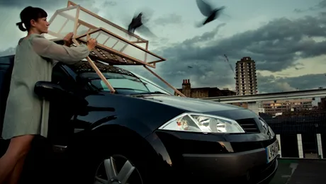 Belgienii au creat o bacterie care transforma fecalele de porumbei in detergent