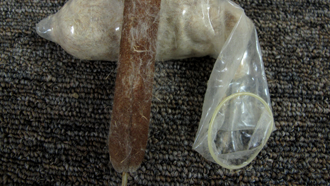 Introdu iasca și/sau chibriturile într-un prezervativ pentru a le feri de umezeală