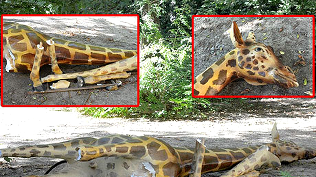 Girafa de la Antipa, după vandalizare