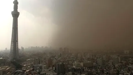 Tokyo, cel mai amenințat oraș de pe planetă