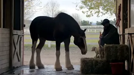 Cele mai frumoase reclame de la Super Bowl (VIDEO)