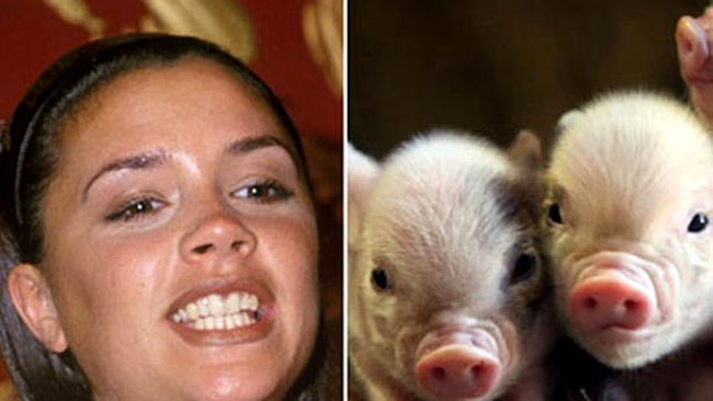 Victoria Beckham a cumparat porci ca animale de casa pentru copiii ei