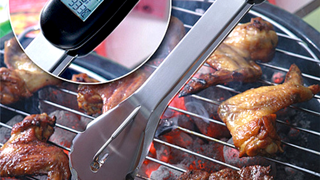 Limba electronica pentru friptura