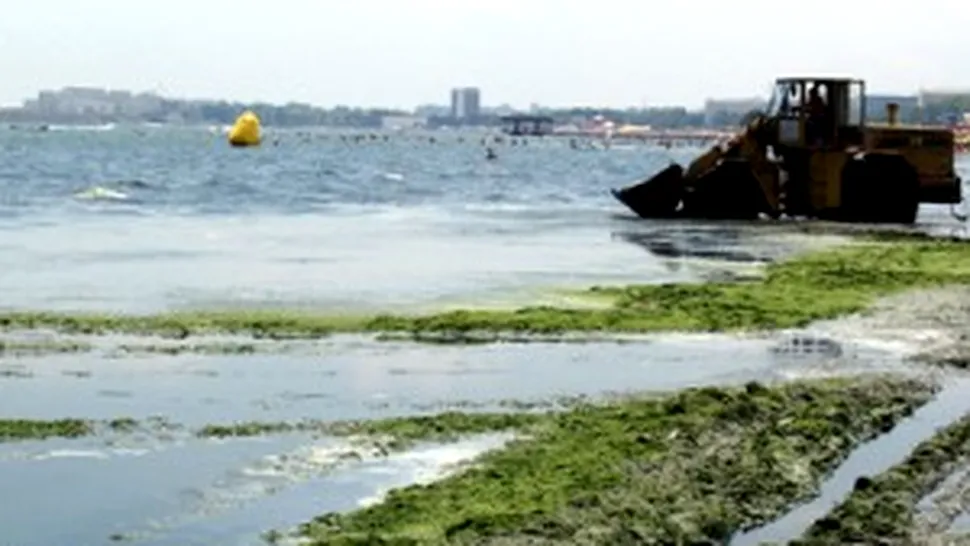 Sejur la Marea Neagra, cu alge verzi incluse in pret