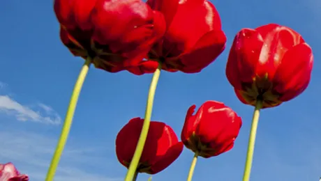 Prognoza meteo pentru sâmbătă, 28 februarie 2015