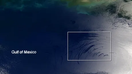 Catastrofa ecologica din Golful Mexic se poate repeta