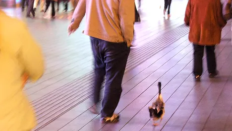 O lume nebună, nebună, nebună…