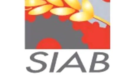 SIAB 2009, amanat pentru 2011