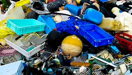 Ambalajele din plastic au fost total interzise în Delhi