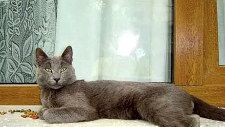 Cum se creşte un răsfăţat?