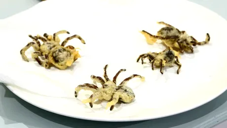 Tarantule tempura, carne de cămilă la grill şi salată cu viermi de mătase la ,,Chefi la cuţite”
