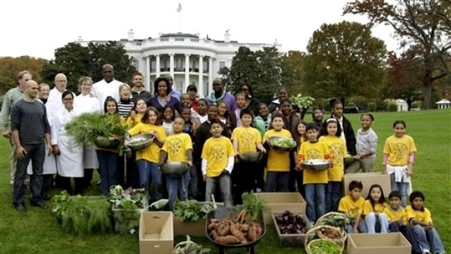 gradina si voluntari