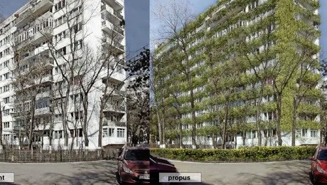 Blocuri cu acoperișuri verzi, viță de vie, roșii și flori, în România