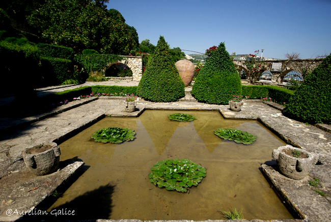 Gradina Botanica din curtea palatului Reginei Maria, Balchik