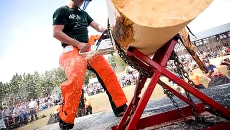 România se pregătește pentru Campionatul Mondial al Tăietorilor de Lemne 2013