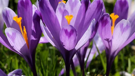 Vremea.Apropo.ro: Prognoza meteo pentru duminică, 23 februarie