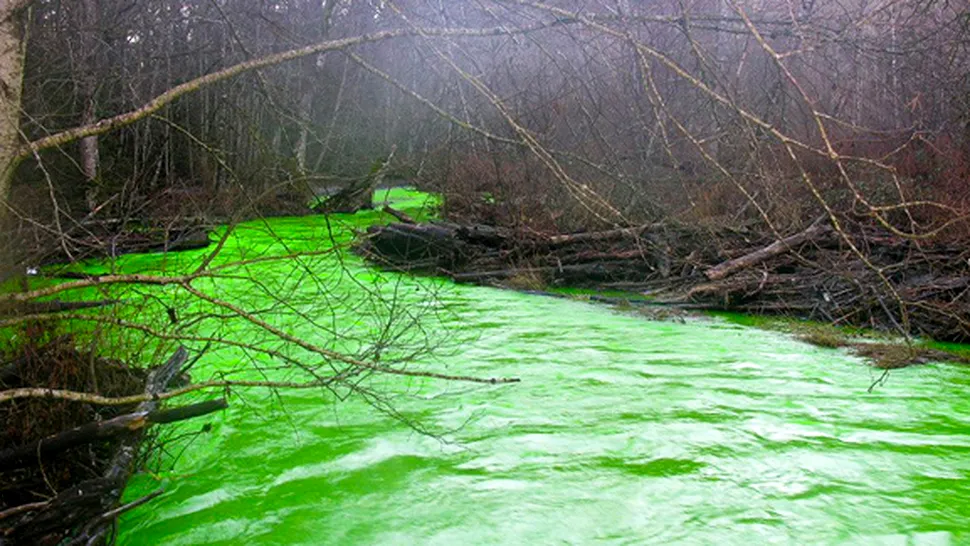 In Canada, a aparut raul fosforescent (Video)