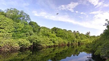 Plimbare pe Amazon, din fața calculatorului