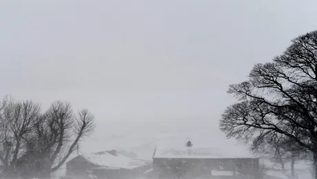 Cel puțin 11 morți și 1.250 de răniți în Japonia din cauza furtunii de zăpadă