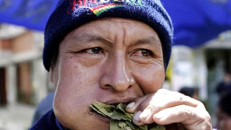 Istoria cocainei – drogul care se vindea la Harrods