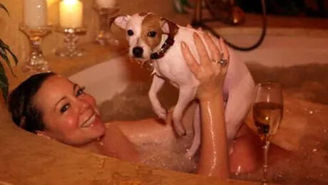 Mariah Carey dă 47.000 de dolari pe an pentru a-şi răsfăţa câinii la spa