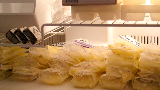 laptele uman este tinut la frigider