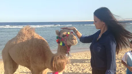 Vacanţă cu peripeţii! Anca Serea, emoţii de Revelion în Egipt!