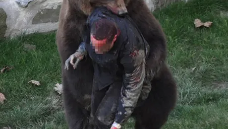 Vezi cum a scapat un elvetian din ghearele ursului! (Video)