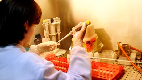 După eBola, OMS anunță apariția unor cazuri de ciumă în Madagascar