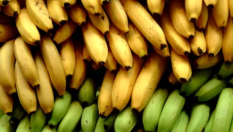 Pamantul se afla in pericol: am putea ramane fara banane!