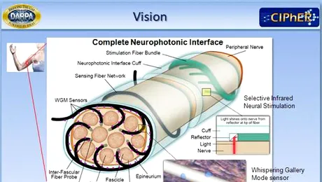 S-a inventat fibra optica ce „simte” presiunea si temperatura