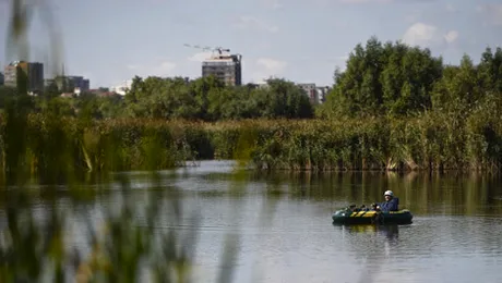 Parcul Natural Văcărești are și un observator