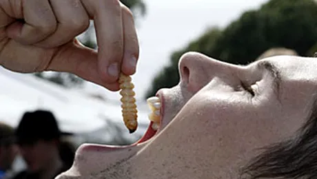 Festivalul ciudateniilor culinare: scorpioni vii, scarabei in ciocolata sau larve prajite