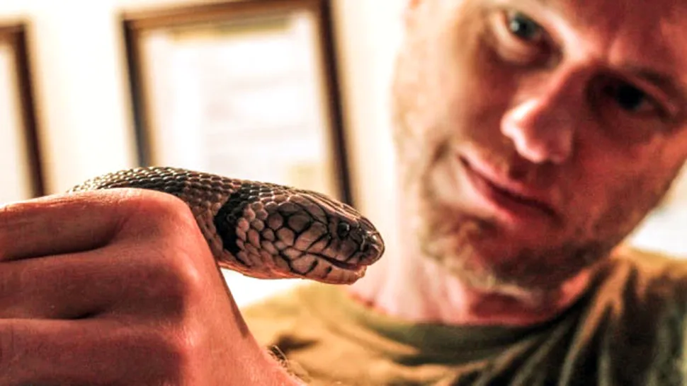 Bărbatul care a supraviețuit după ce a fost mușcat de 100 de șerpi veninoși