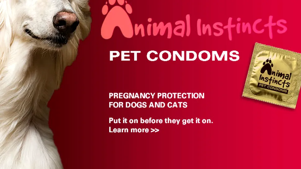 Ai cumpăra prezervative pentru animalul tău de companie? 