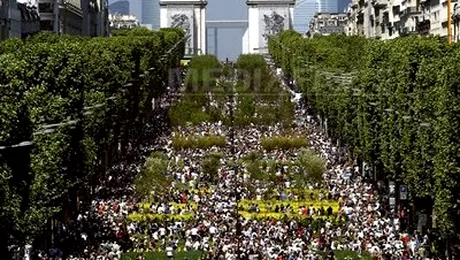 Champs Elysees a fost invadat de vaci si de lanuri de grau! (video)